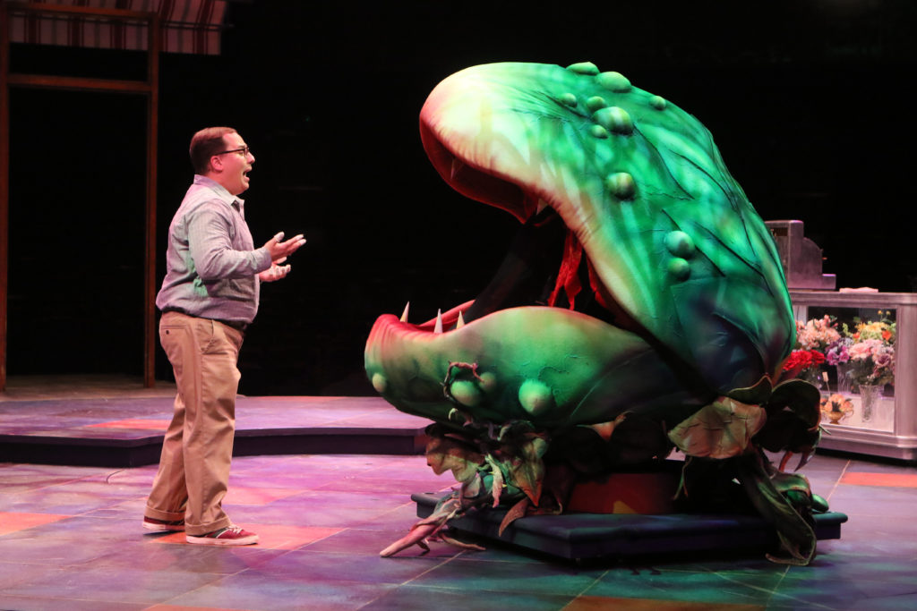 Jared Gertner as Seymour in LITTLE SHOP OF HORRORS produced by Broadway At Music Circus at the Wells