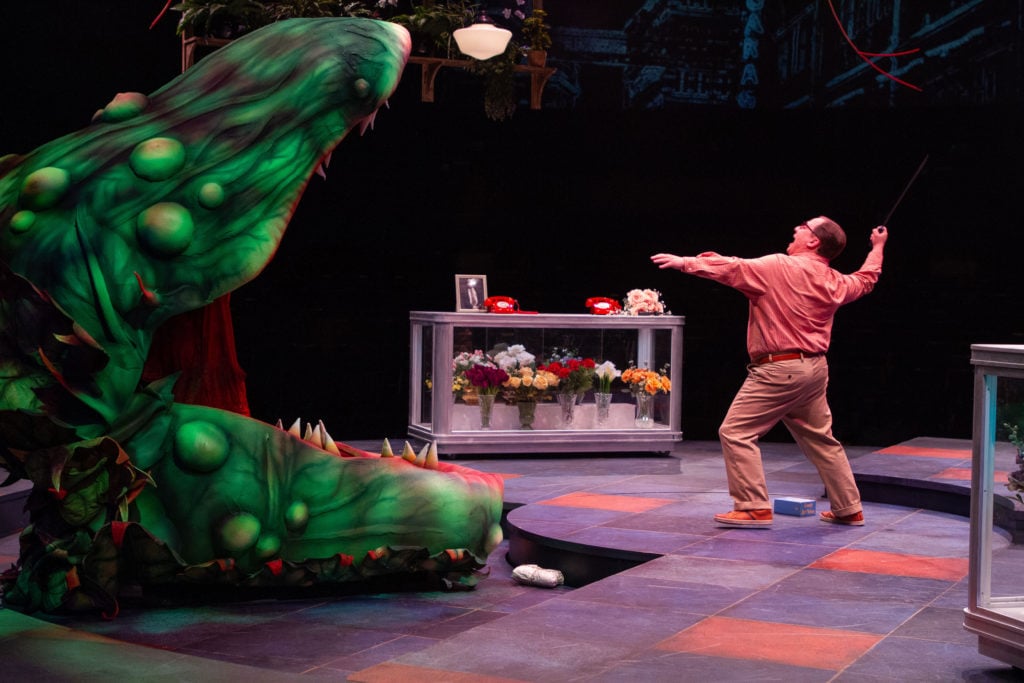 Jared Gertner as Seymour in LITTLE SHOP OF HORRORS produced by Broadway At Music Circus at the Wells