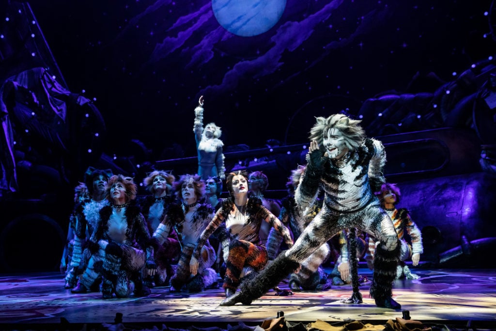 Dan Hoy as ‘Munkustrap’ in the Broadway On Tour presentation of CATS at the Sacramento Community Center Theater Apr. 2 – 7, 2019. Photo by Matthew Murphy.