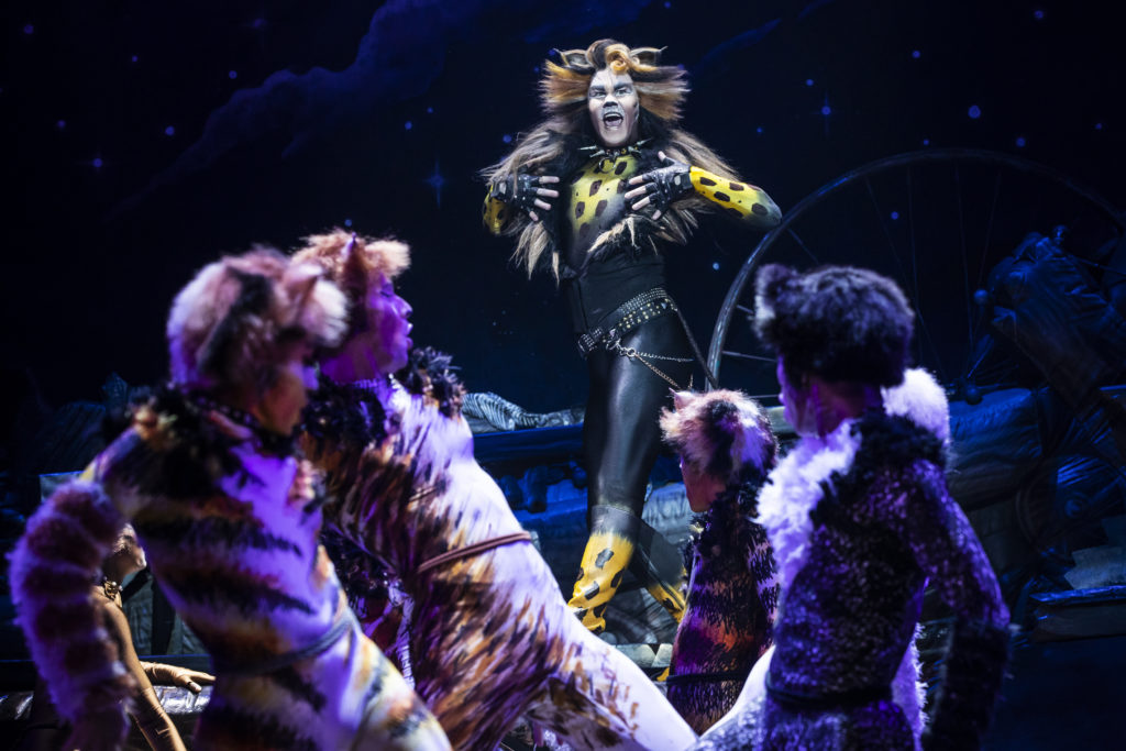 McGee Maddox as ‘Rum Tum Tugger’ in the Broadway On Tour presentation of CATS at the Sacramento Community Center Theater Apr. 2 – 7, 2019. Photo by Matthew Murphy.