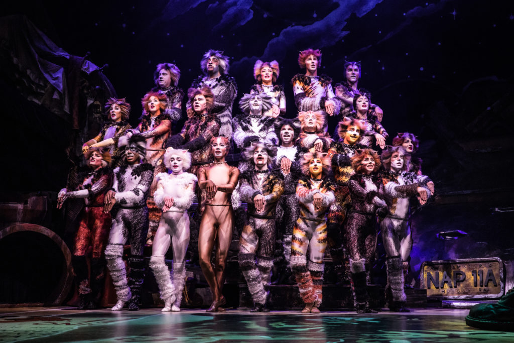 Company of CATS presented by Broadway On Tour at the Sacramento Community Center Theater Apr. 2 – 7, 2019. Photo by Matthew Murphy.
