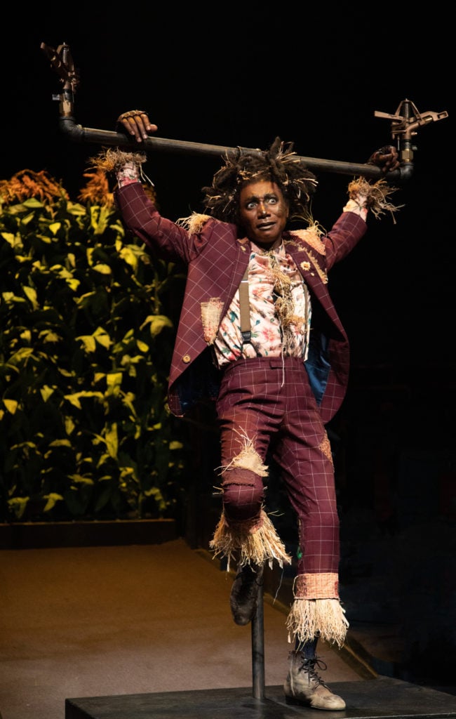 Kevin Smith Kirkwood as Scarecrow in THE WIZ produced by Broadway At Music Circus at the Wells Fargo Pavilion August 6-11. Photo by Kevin Graft.