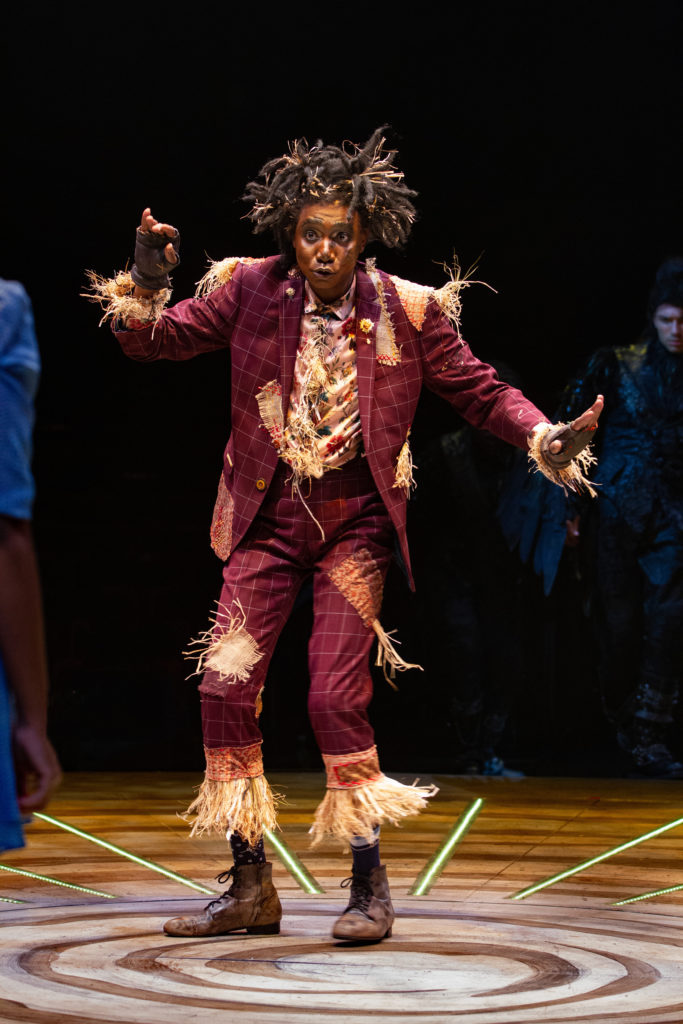 Kevin Smith Kirkwood as Scarecrow in THE WIZ produced by Broadway At Music Circus at the Wells Fargo Pavilion August 6-11. Photo by Kevin Graft.